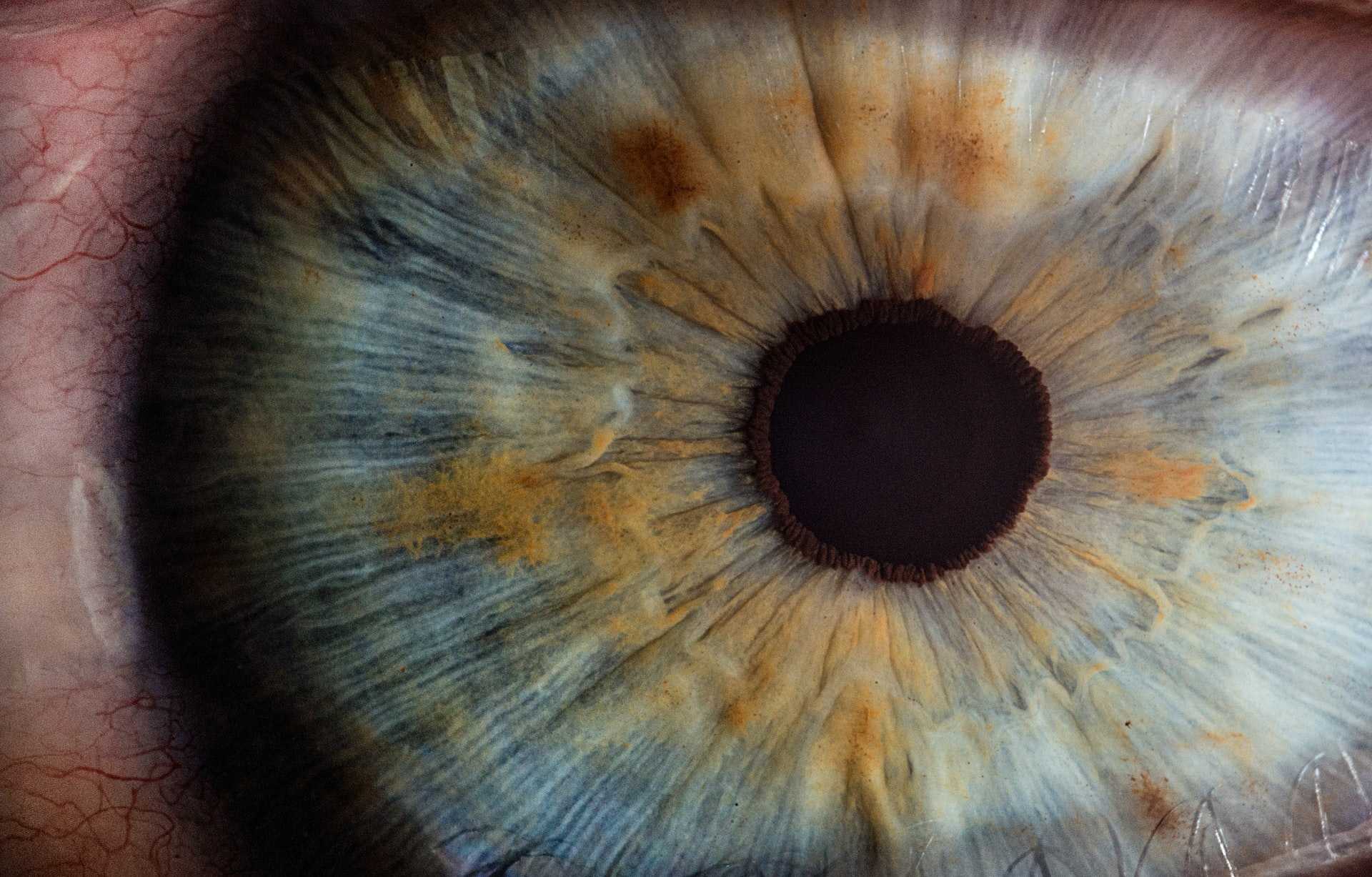 extreme closeup of a human eye