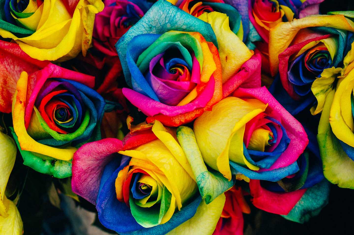 blog header image