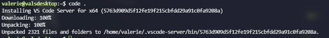VS Code Server for x64 installation