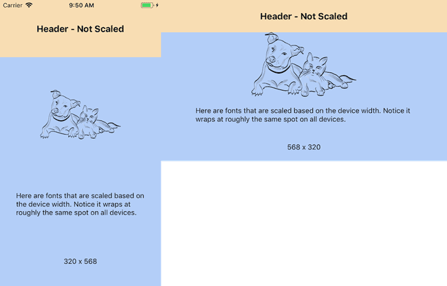 Font Scaling with Orientation