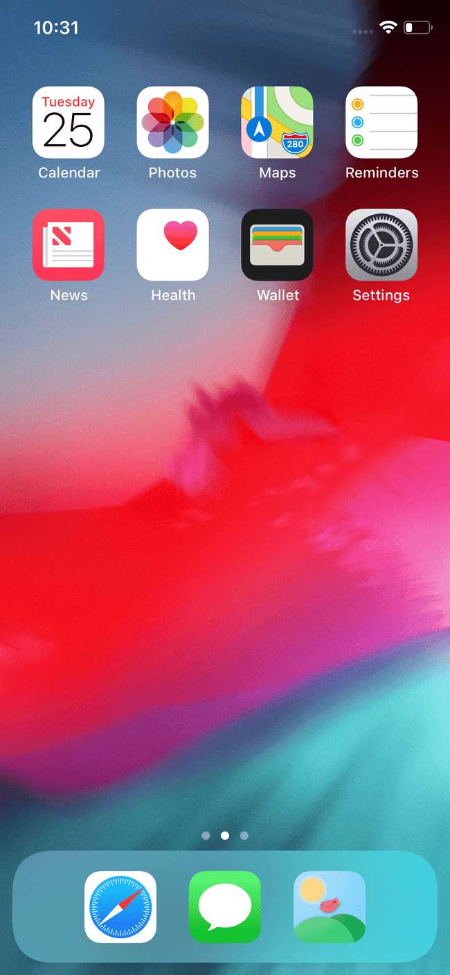 Birb logo on iOS home screen