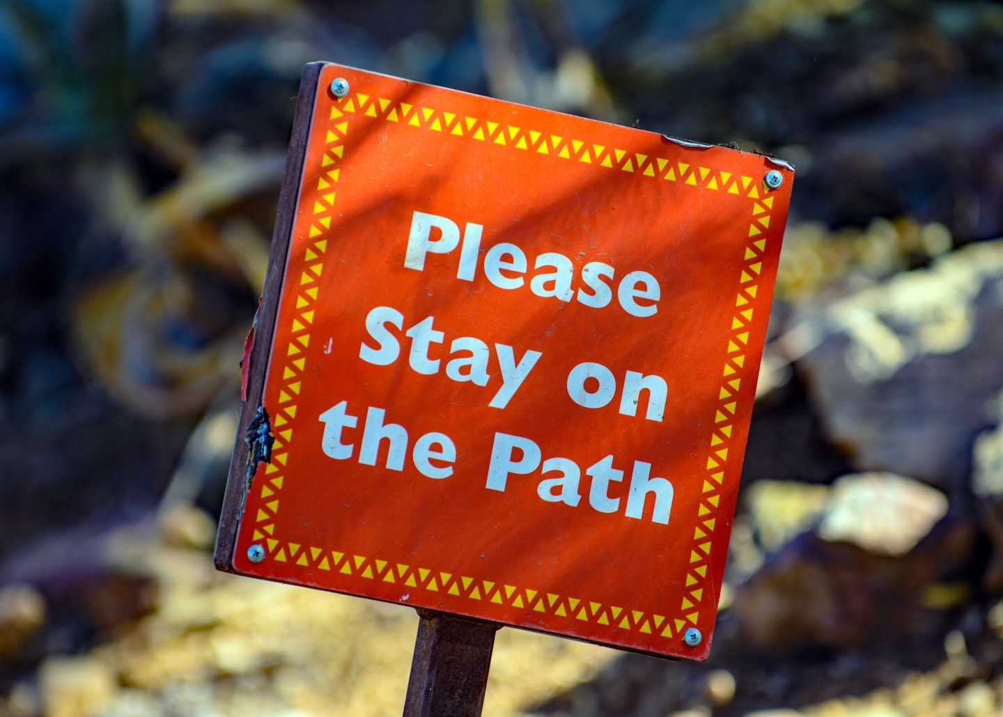 blog header image